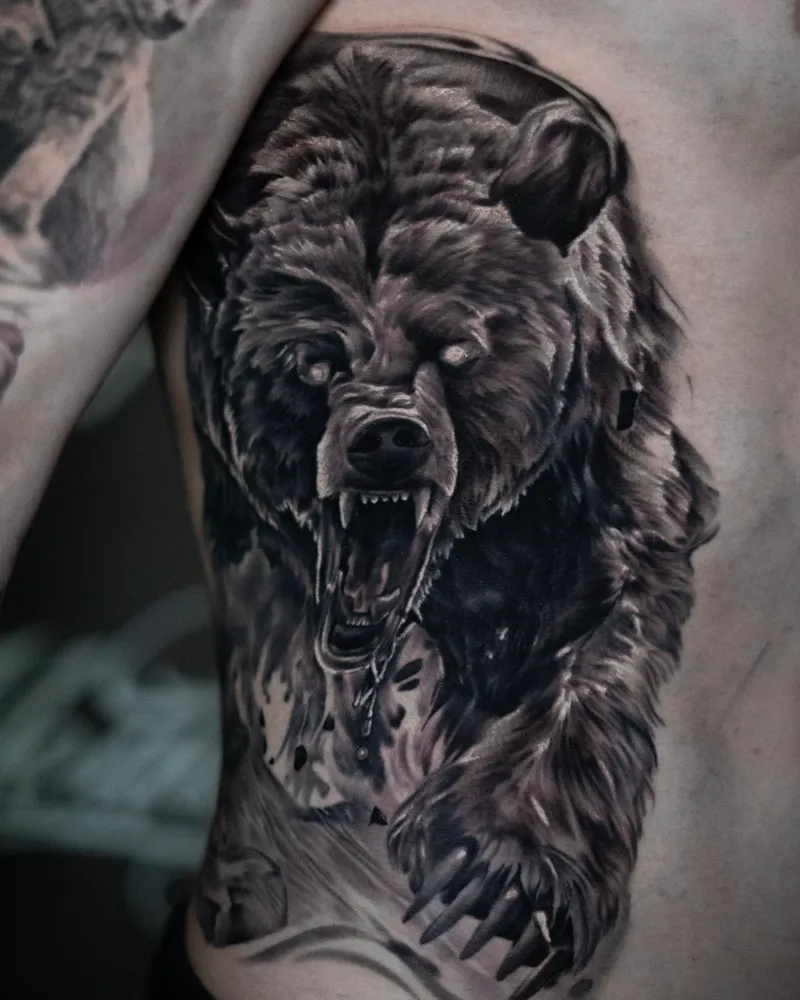 Ribs and side: a grizzly bear roaring, one paw forward